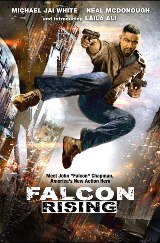 مشاهدة فيلم Falcon Rising 2014 مترجم مشاهدة فيلم Falcon Rising 2014 مترجم