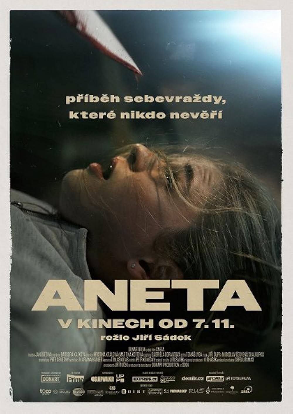 Aneta Aneta