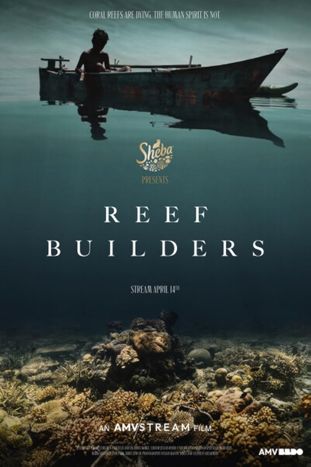 Reef Builders Reef Builders